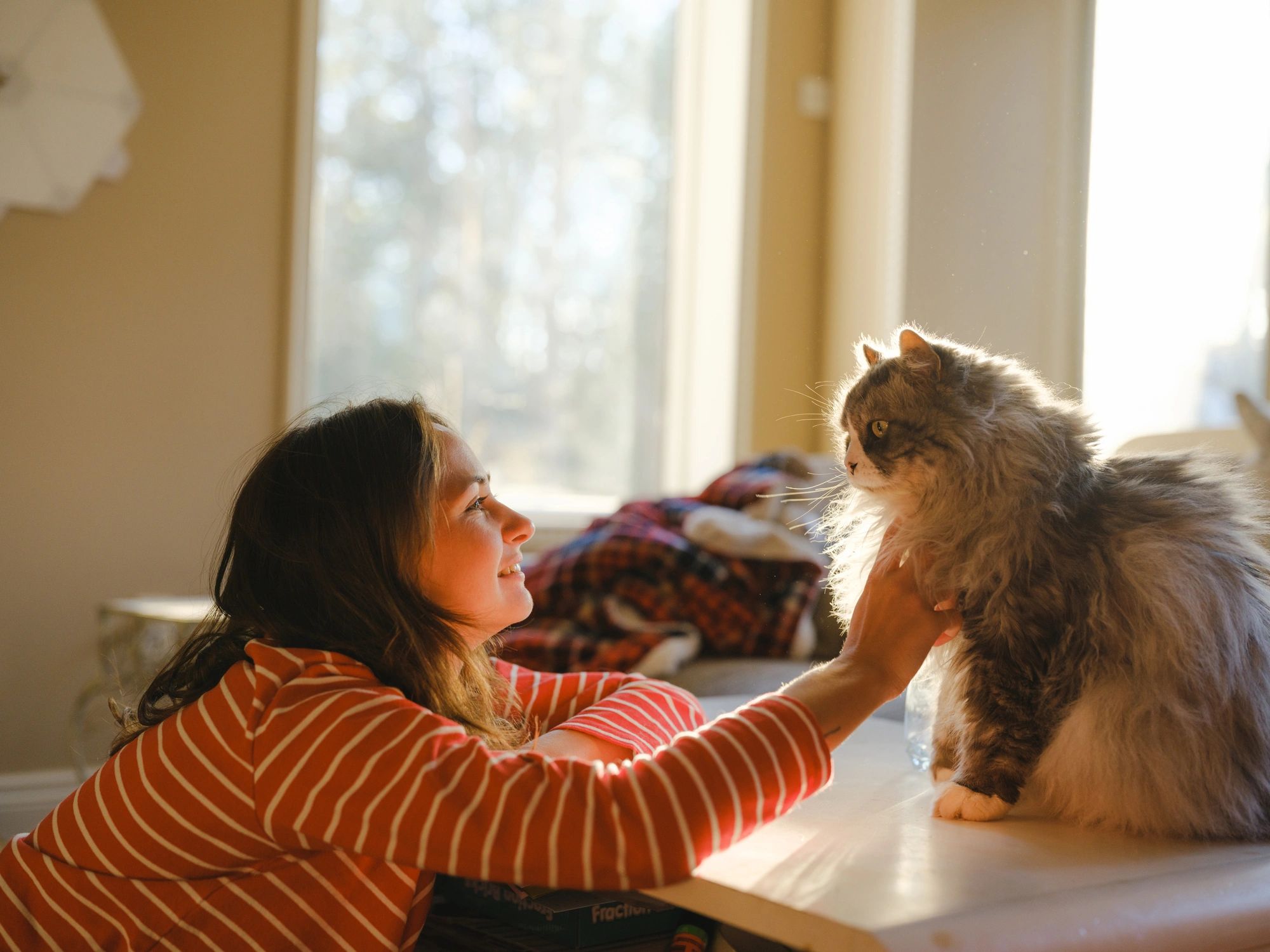 Pet owner caring for a senior cat at home