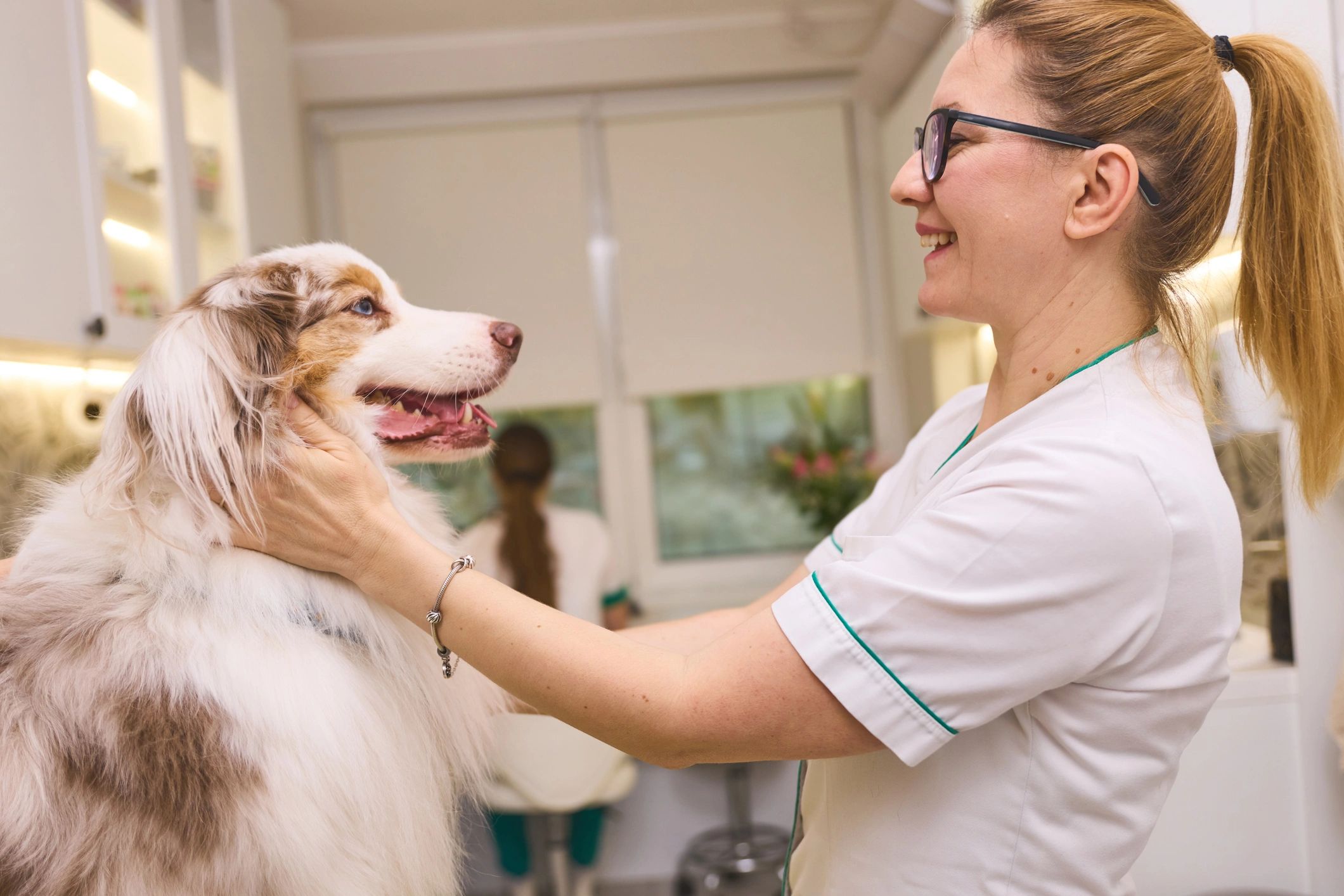 Veterinarian providing care for a dog